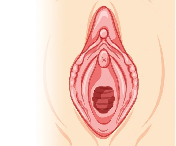 loose vagina